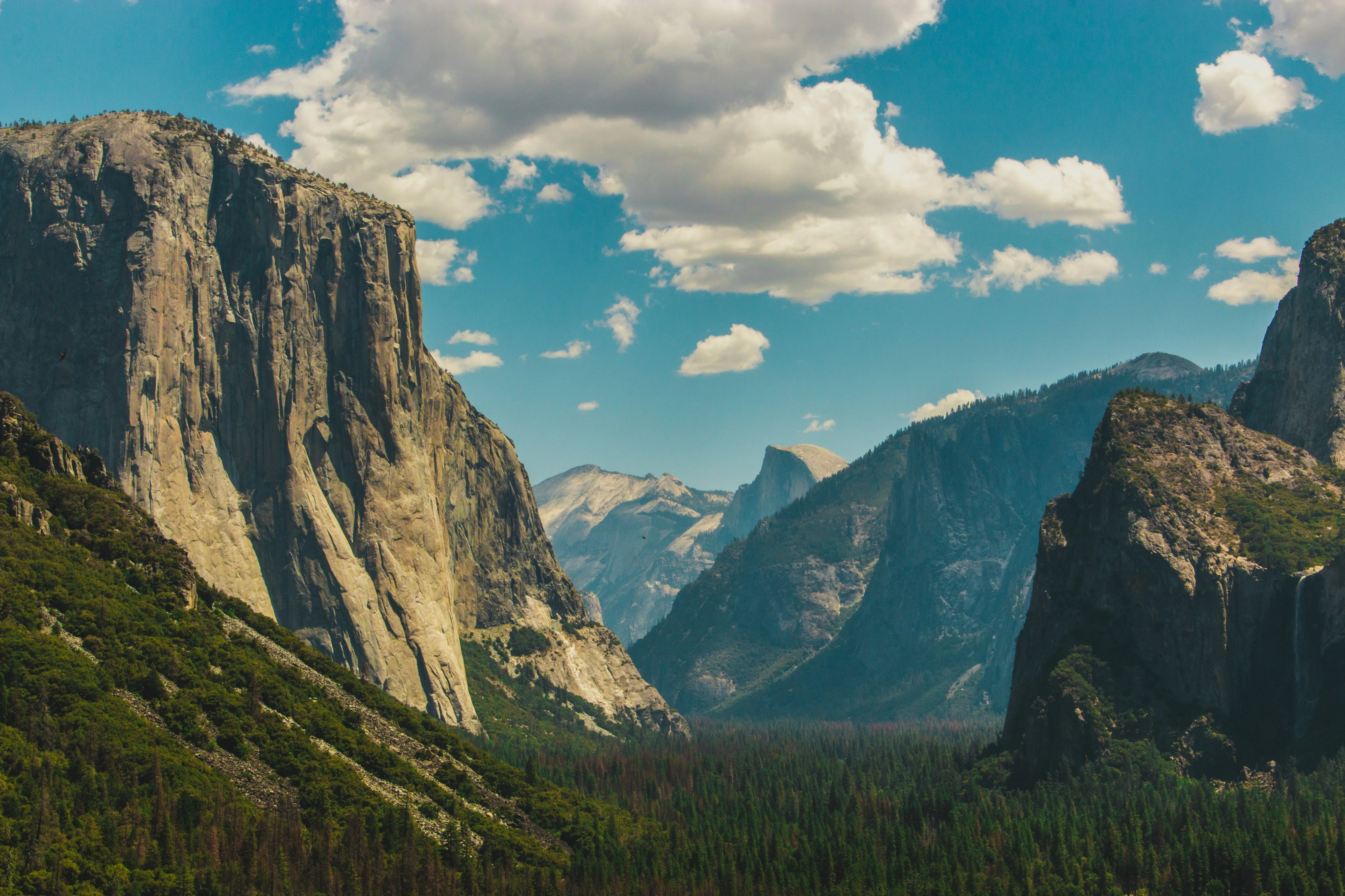A beautiful landscape showing a mountain in the background and Earth Funeral’s conservation land and trees in the foreground