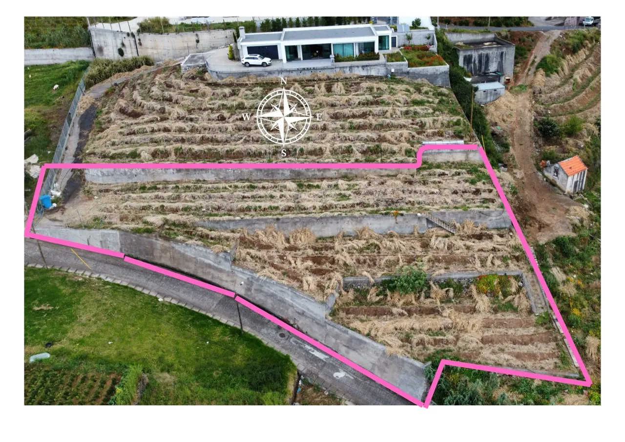 Aerial photograph of the Canhas building plot with the plot boundary marked in pink across the three terraces