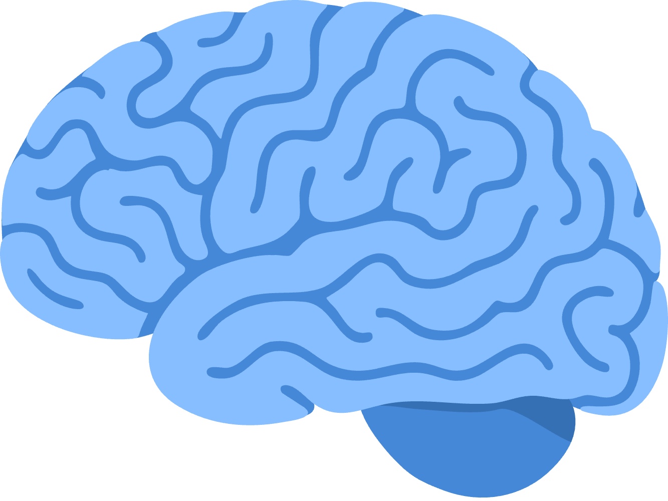 Illustration of a brain