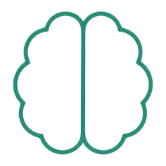brain