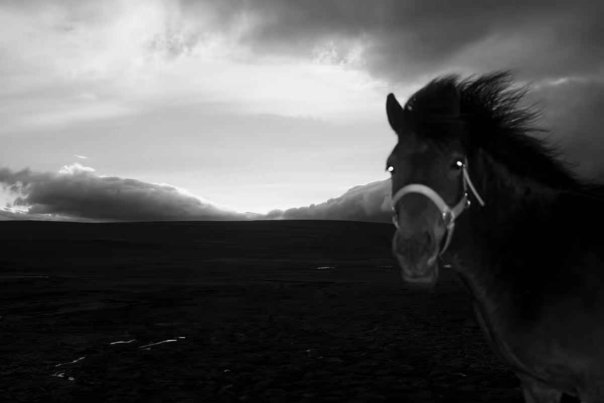 Horse with windswept mane running across dark plains under stormy sky