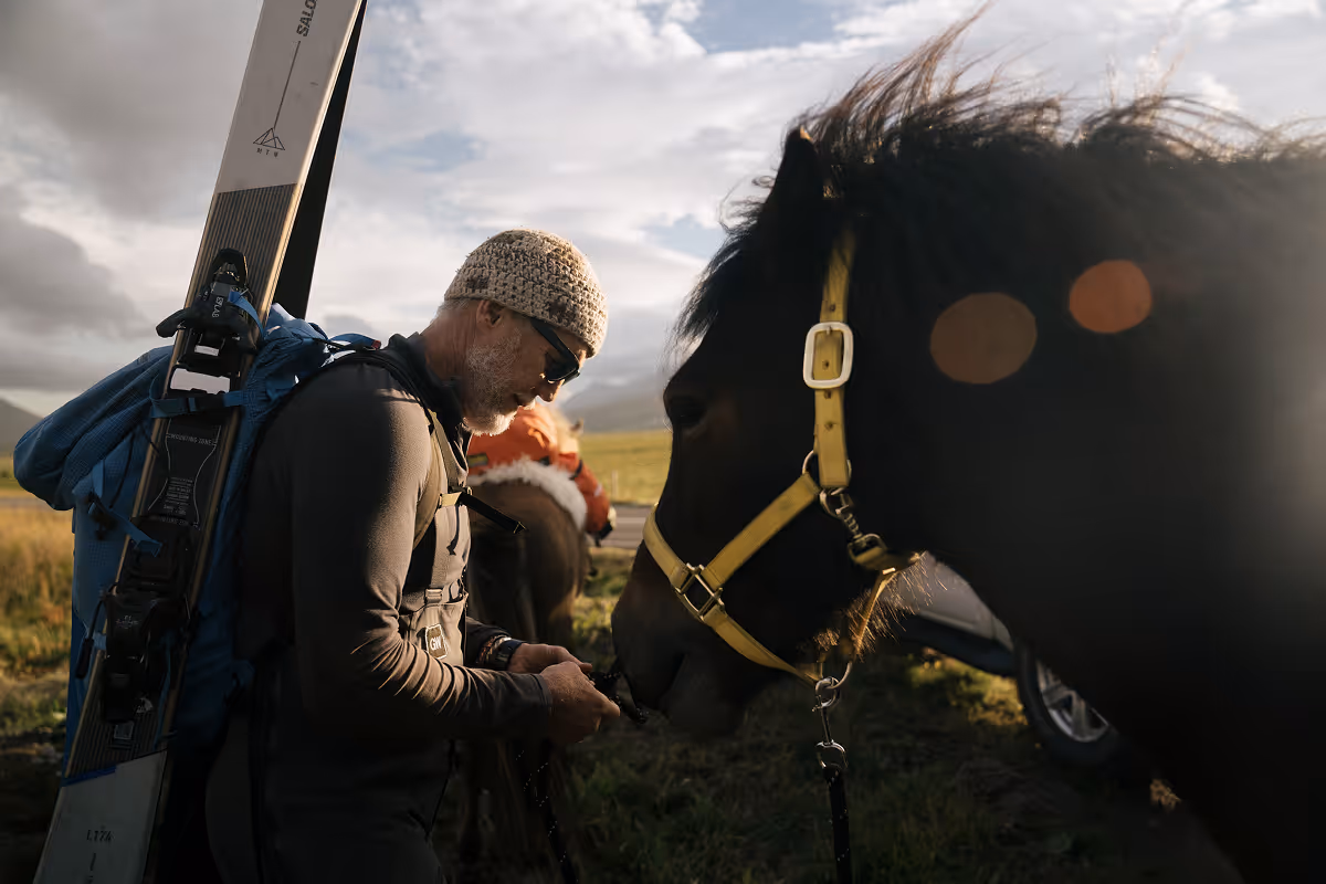 Skier with blue gear greeting black Icelandic horse in grassy field