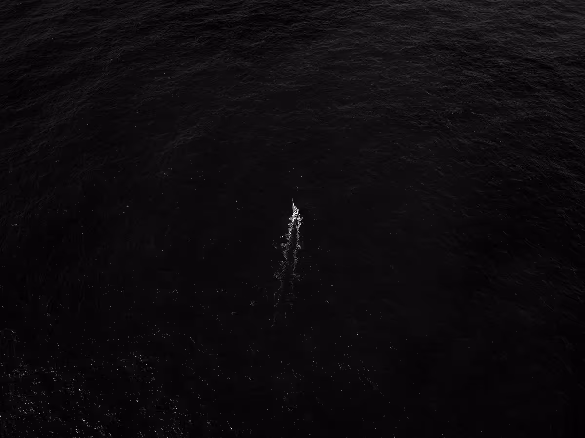 Aerial view of lone whale swimming in dark ocean water