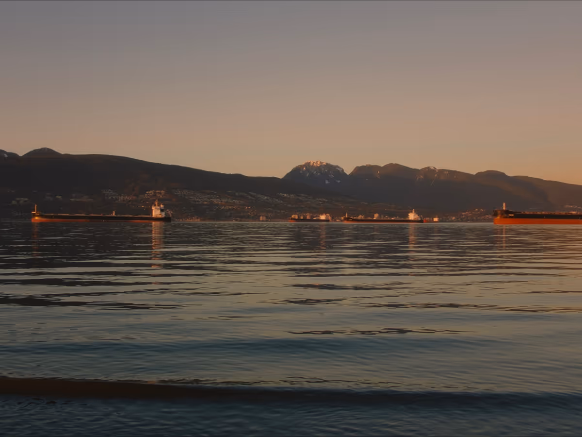 Large cargo ships anchored on calm water with a mountain range in the background during sunset.
