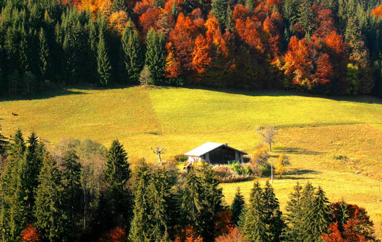 all-saints-holidays-in-french-alps-megeve