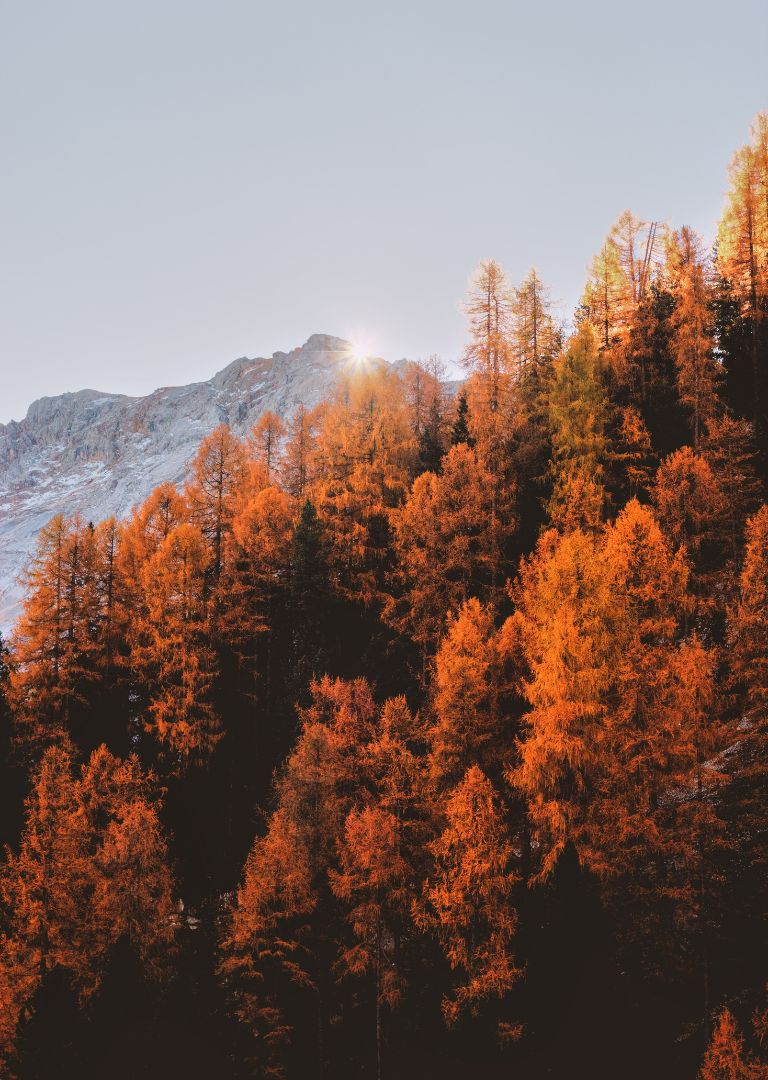 station-alpes-megeve-automne