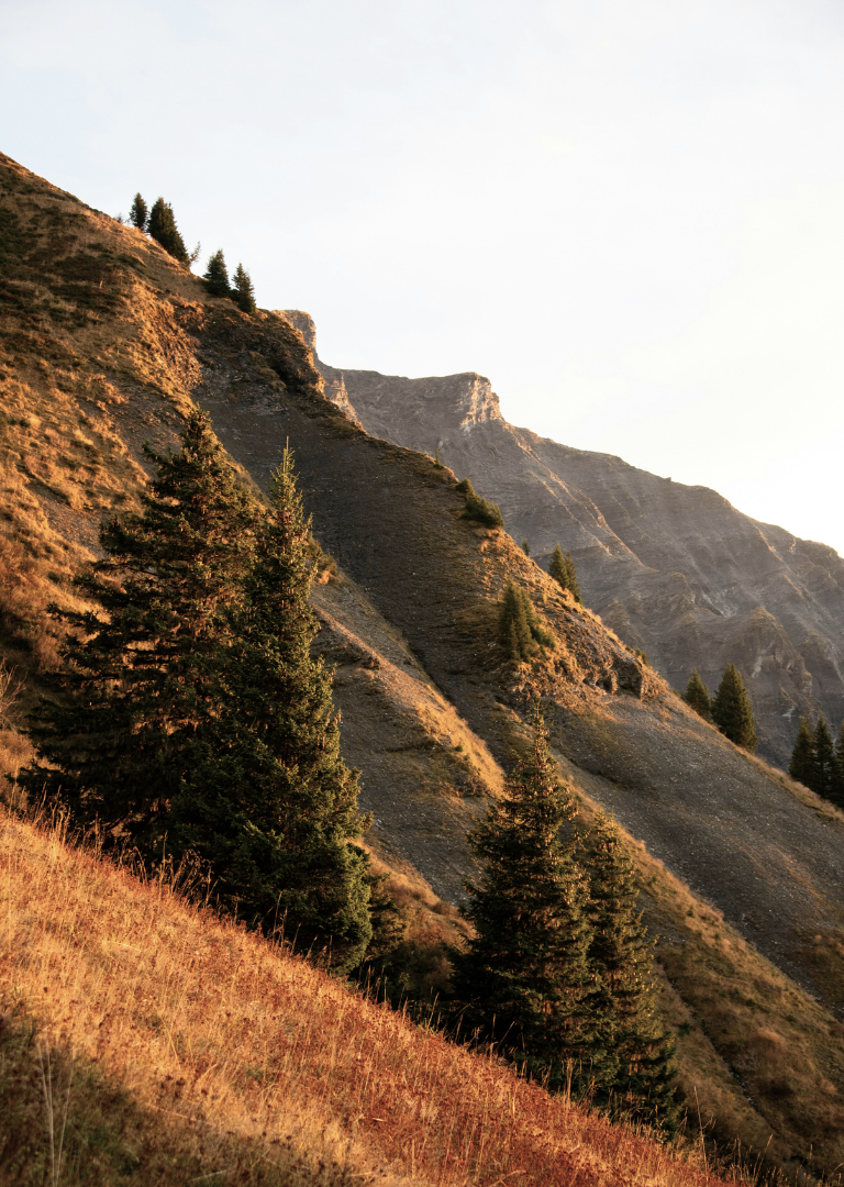 station-alpes-megeve-automne