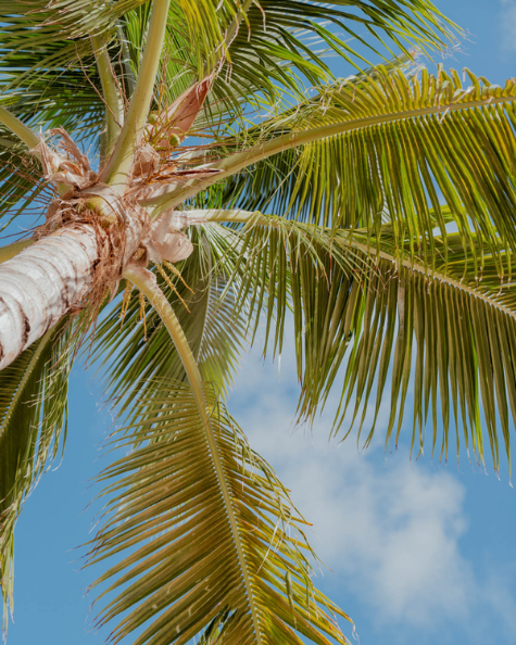 gyp-sea-prtotect-the-planet