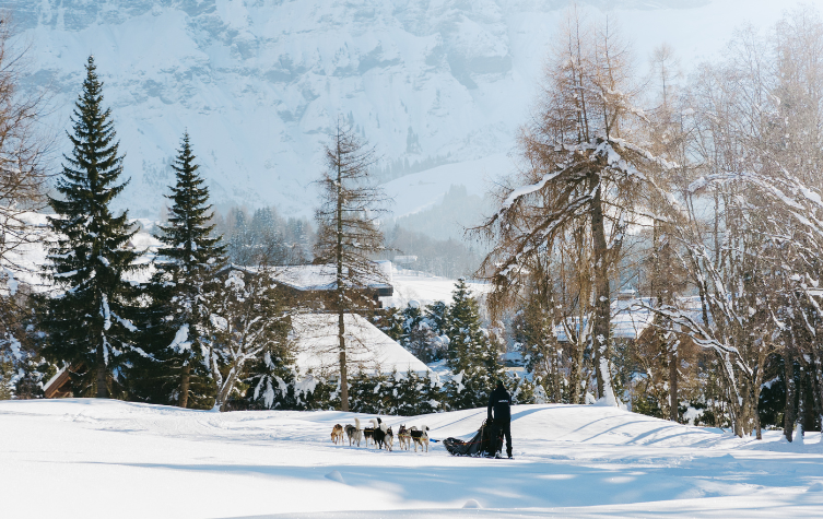Concierge service - Ski - Megève