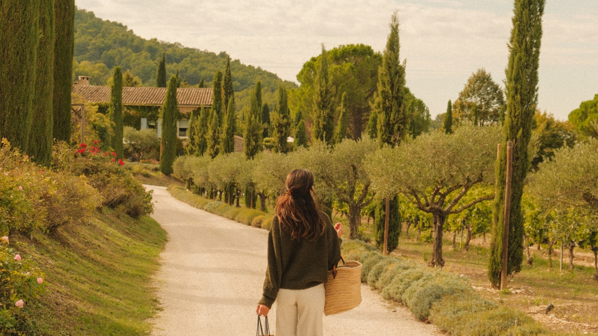 Destination la Provence authentique - Lavandes