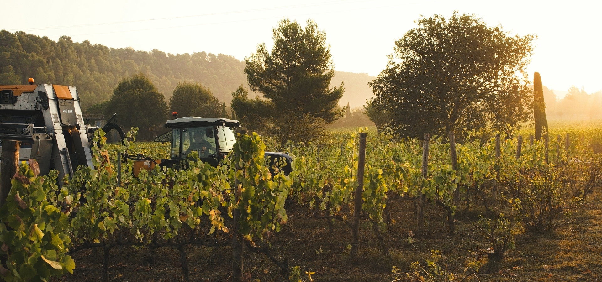 Domaine de Marie Provence