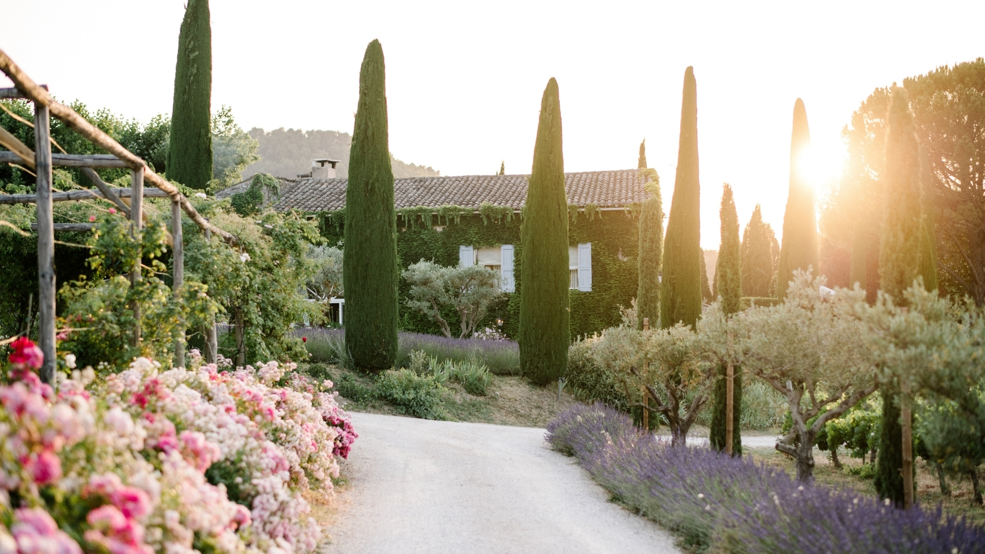 Destination la Provence authentique - Lavandes