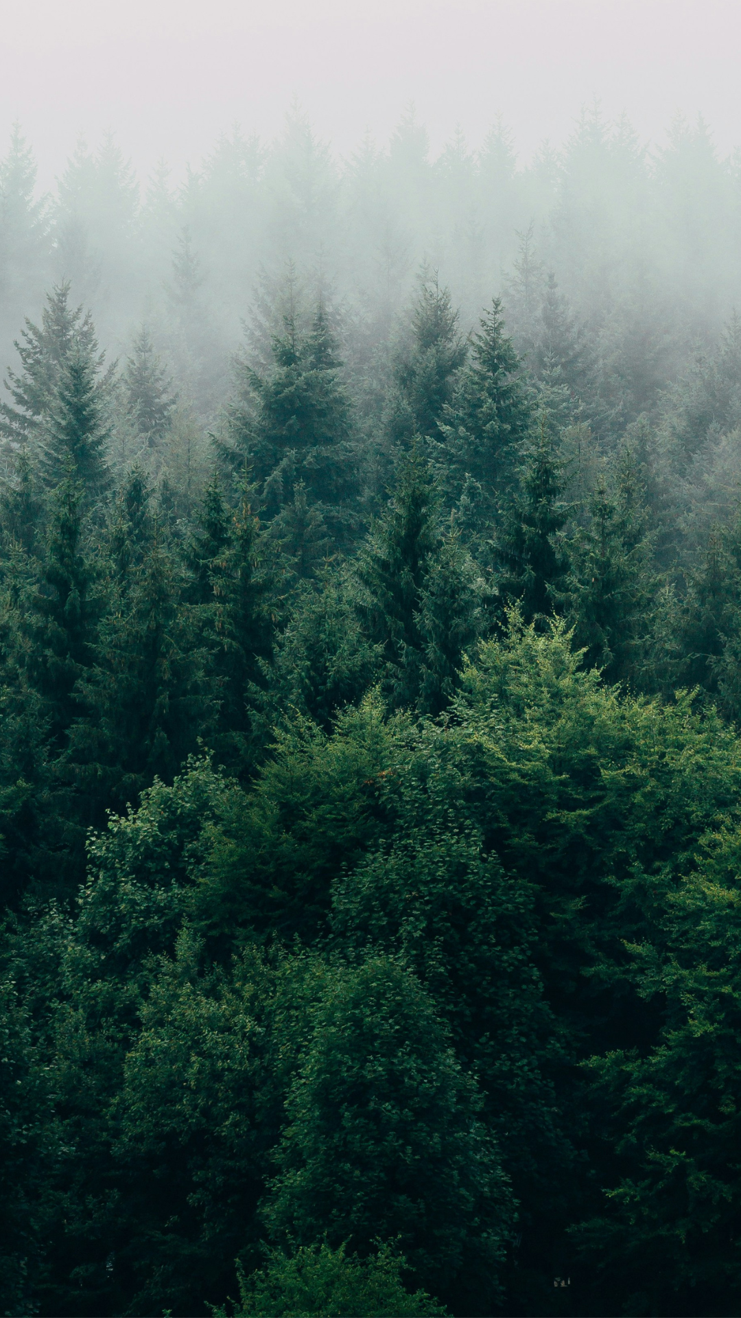 concept-spa-lodge-park