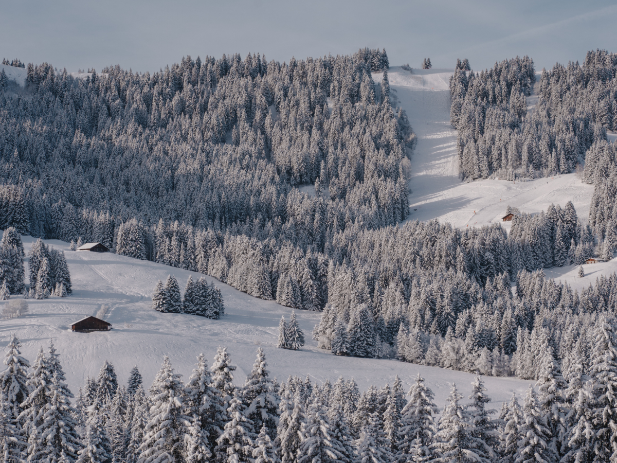 Concours-d'Élégance-Automobile-à-Megève