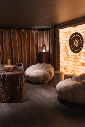 chambres-avec-climatisation-lodge-park-megeve