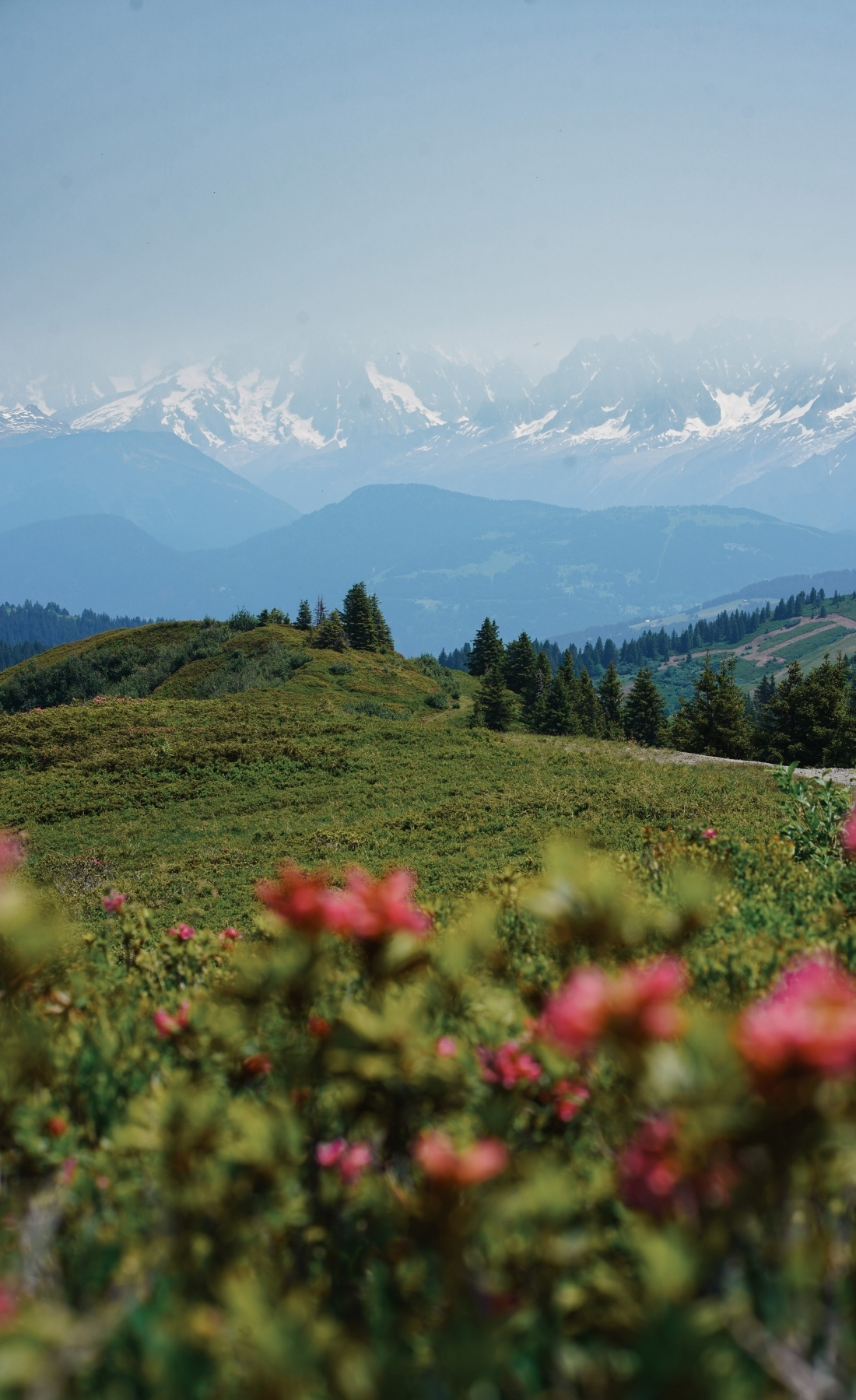 wellness-montagne-retraite