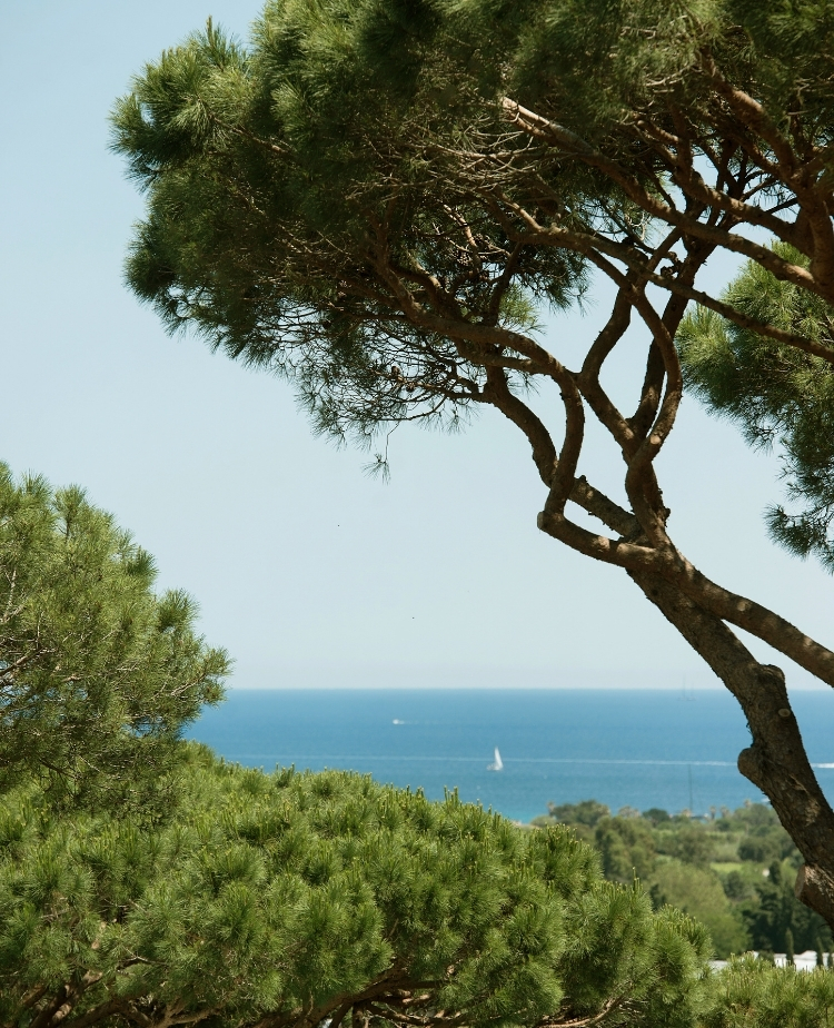 ou-diner-a-st-tropez