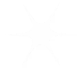 White six-pointed starburst shape on a black background.