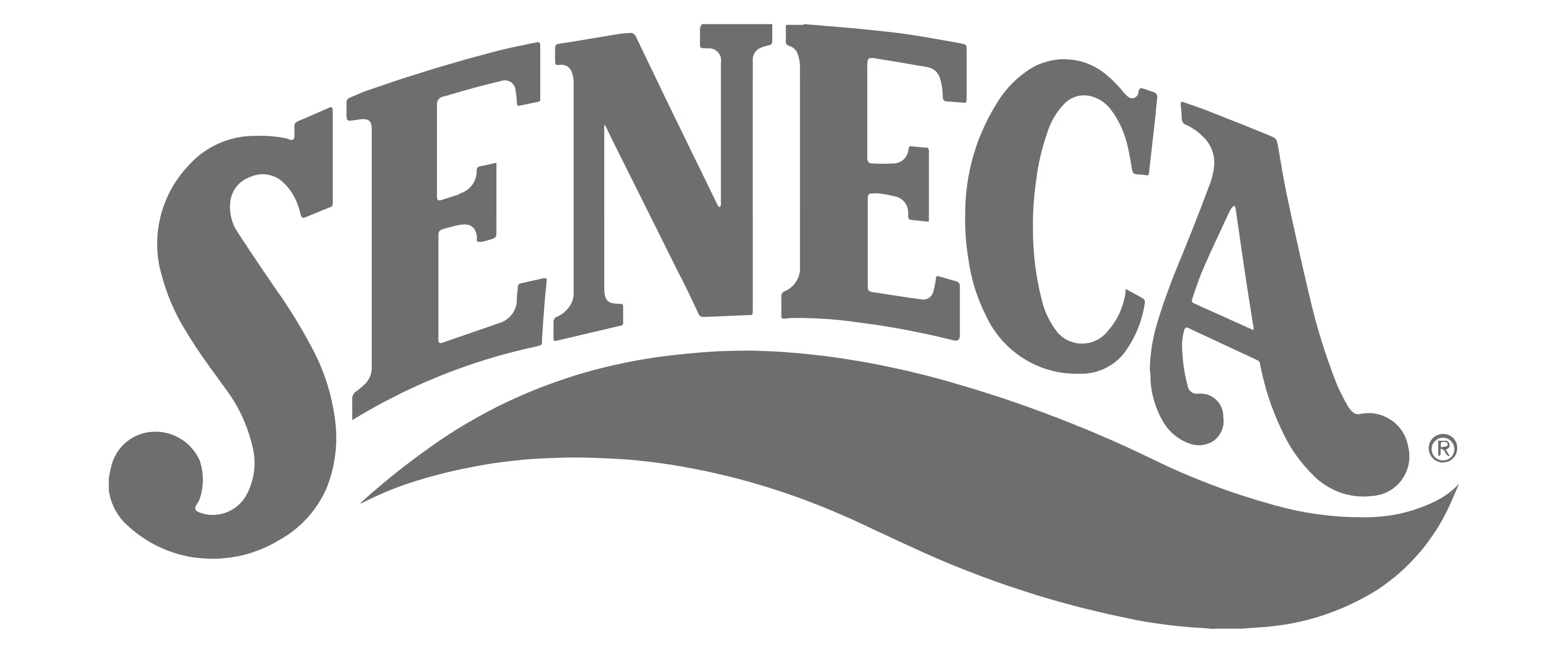 Gray Seneca wordmark logo with a curved underline.