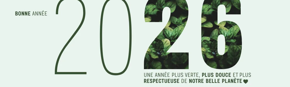 Christmas Wish Banner 5