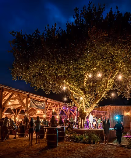 place du vieux chene restaurant au bois des biches