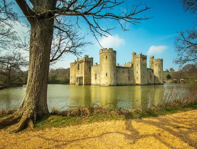 Moated medieval castle with round towers reflected in the water, framed by a bare tree in East Sussex