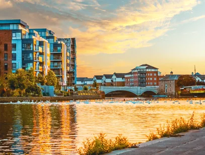 Swans on the river at sunset beside modern apartment blocks and a stone bridge in Peterborough
