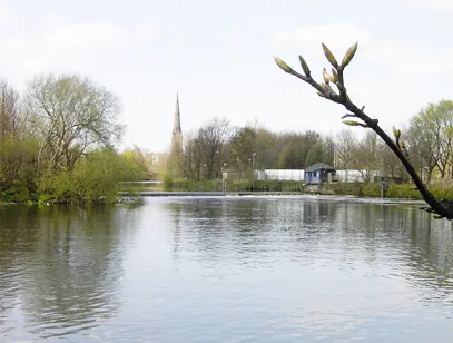 Still river and weir with a church spire rising above trees in Warrington
