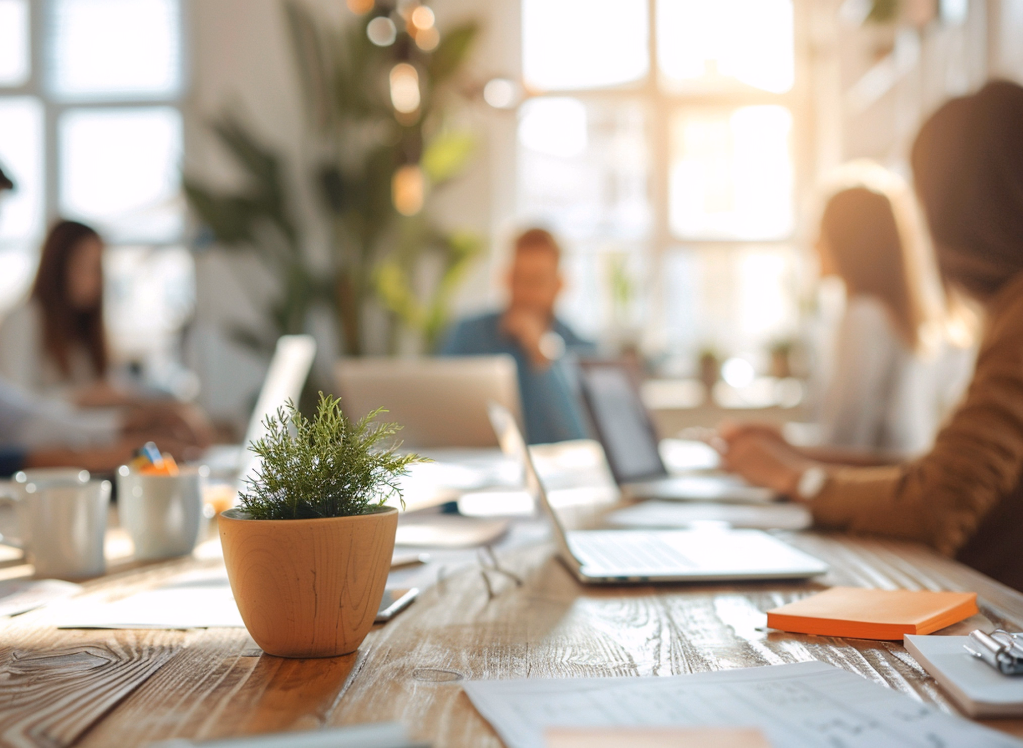 Topfpflanze auf hölzernem Konferenztisch mit Menschen, die im Hintergrund an Laptops in einem hellen Büro arbeiten.