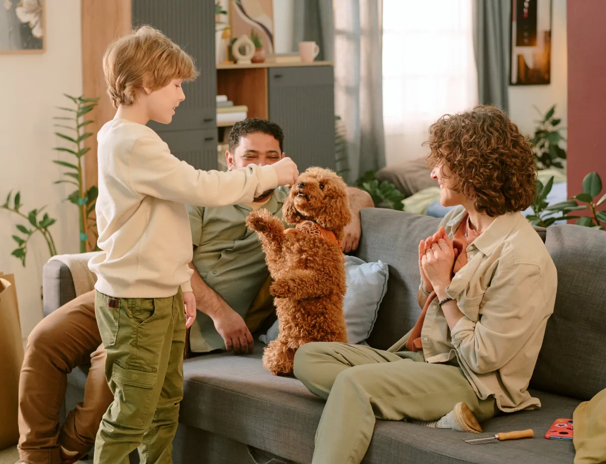 Virtual Addiction Treatment Connecticut