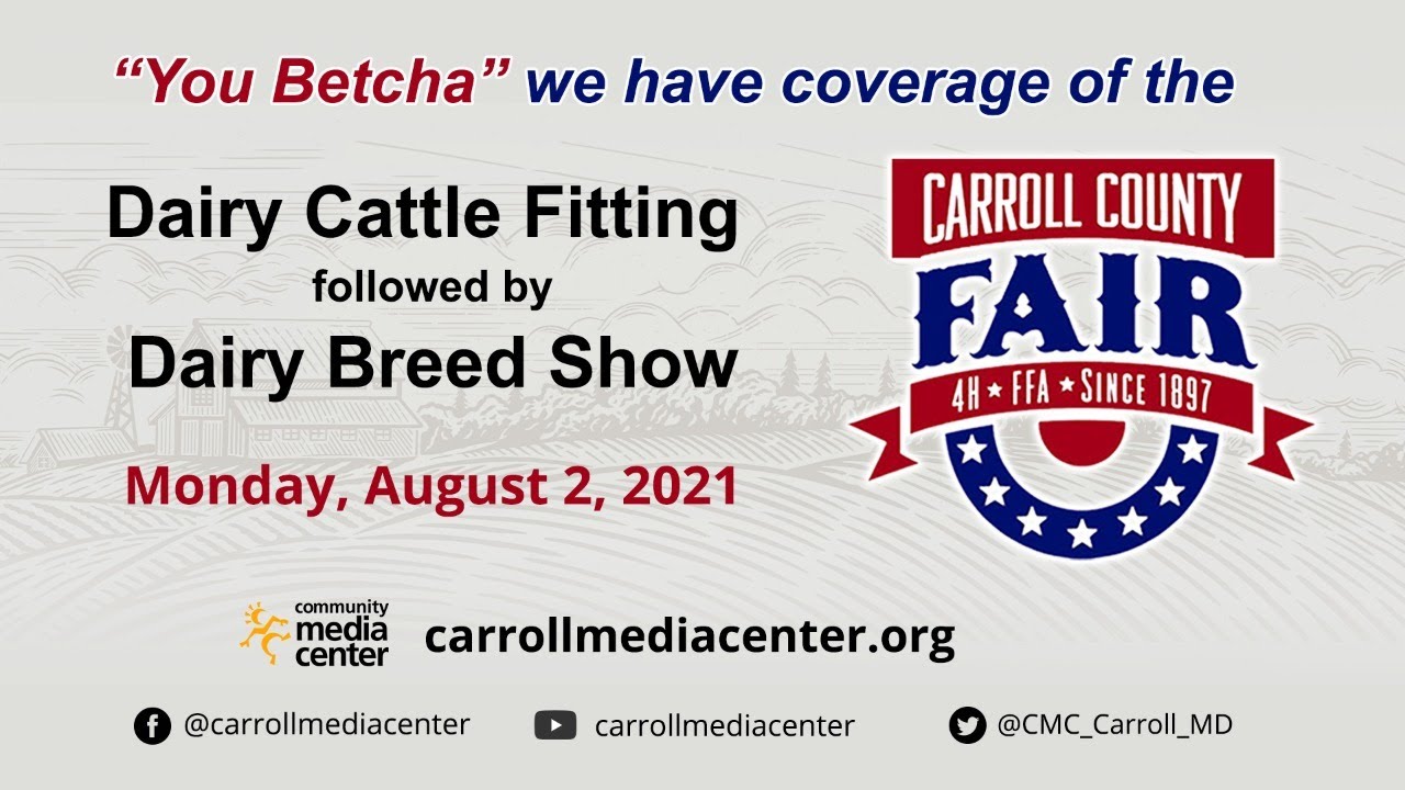 Dairy Cattle Fitting And Showing Followed By Dairy Breed Show
