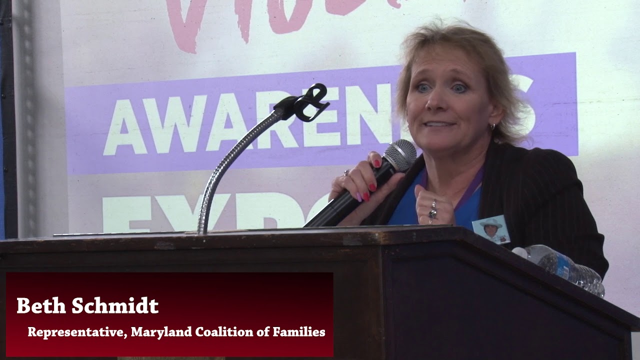 Beth Schmidt Drug And Violence Awareness Expo Presentation