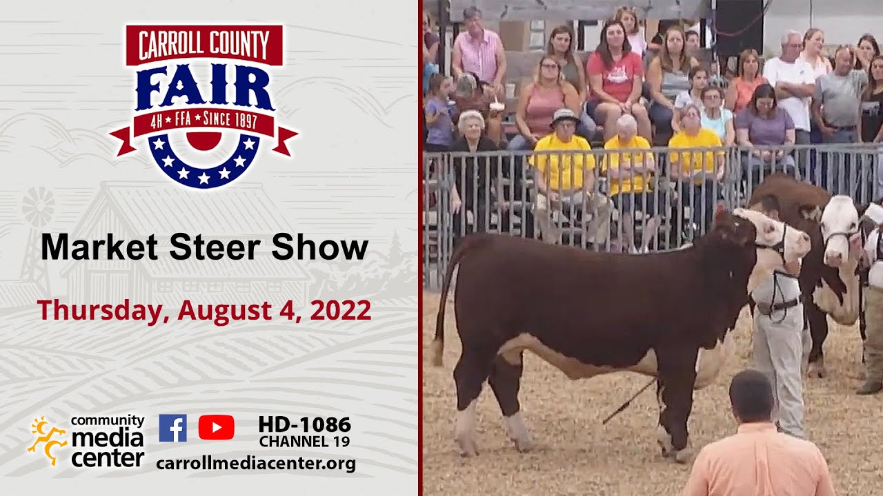 Market Steer Show 8/4/22