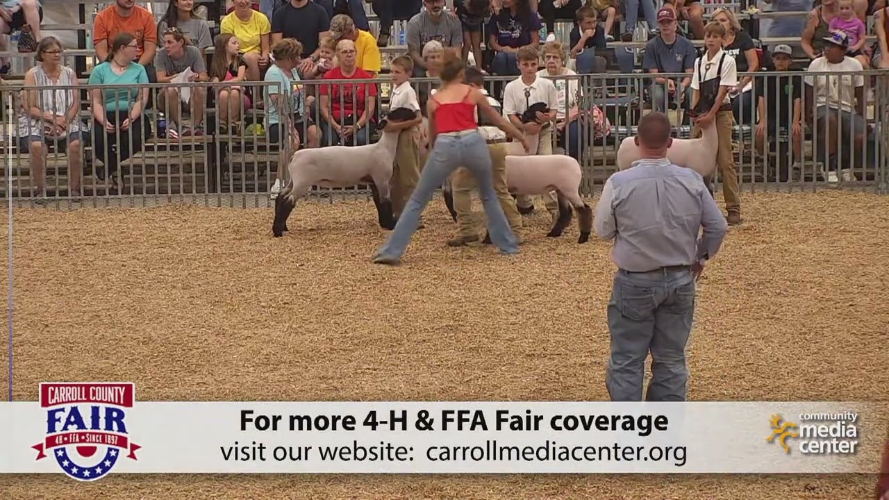 Sheep Market Show 8-1-2022 Carroll County 4-H & FFA