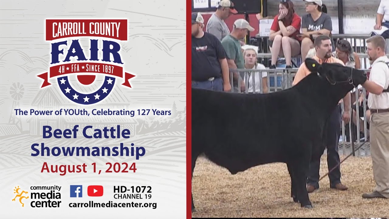 Beef Cattle Showmanship 8-1-2024