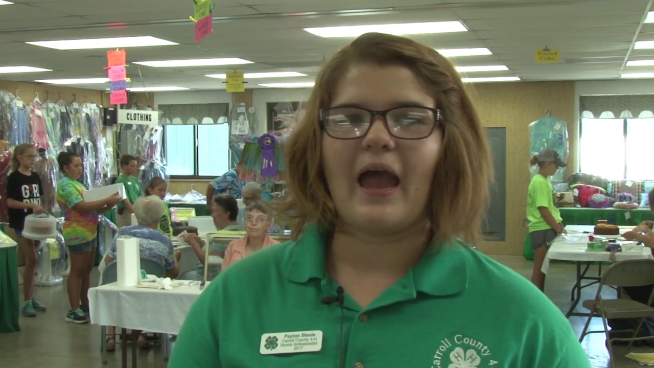 4H &FFA Fair Cake Judging 2017: A Sweet, Life-Long Passion