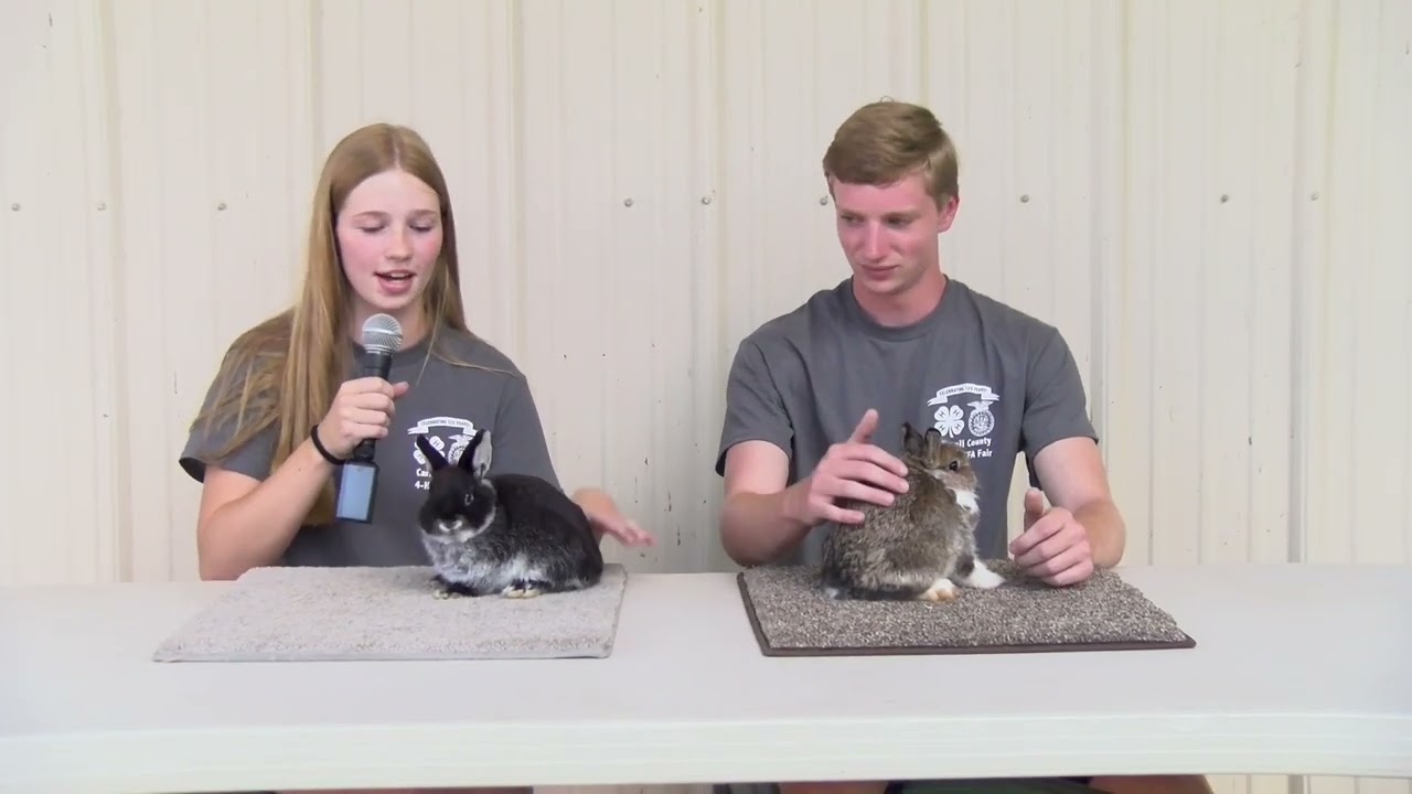 Rabbit Barn Report - 2022 Carroll County 4-H & FFA Fair