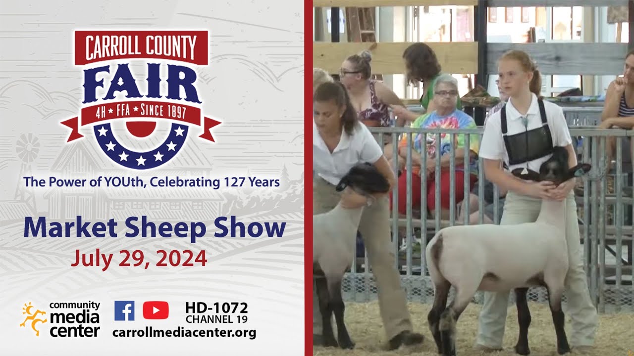 Market Sheep Show 7-29-2024