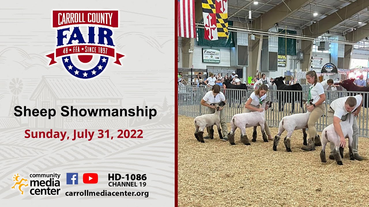 Fair Sheep Showmanship 7-31-2022 Carroll County 4-H And FFA