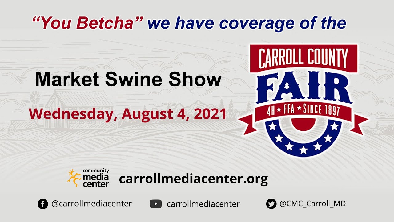 Market Swine Show