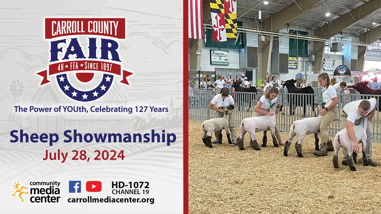 Sheep Showmanship 7-28-2024