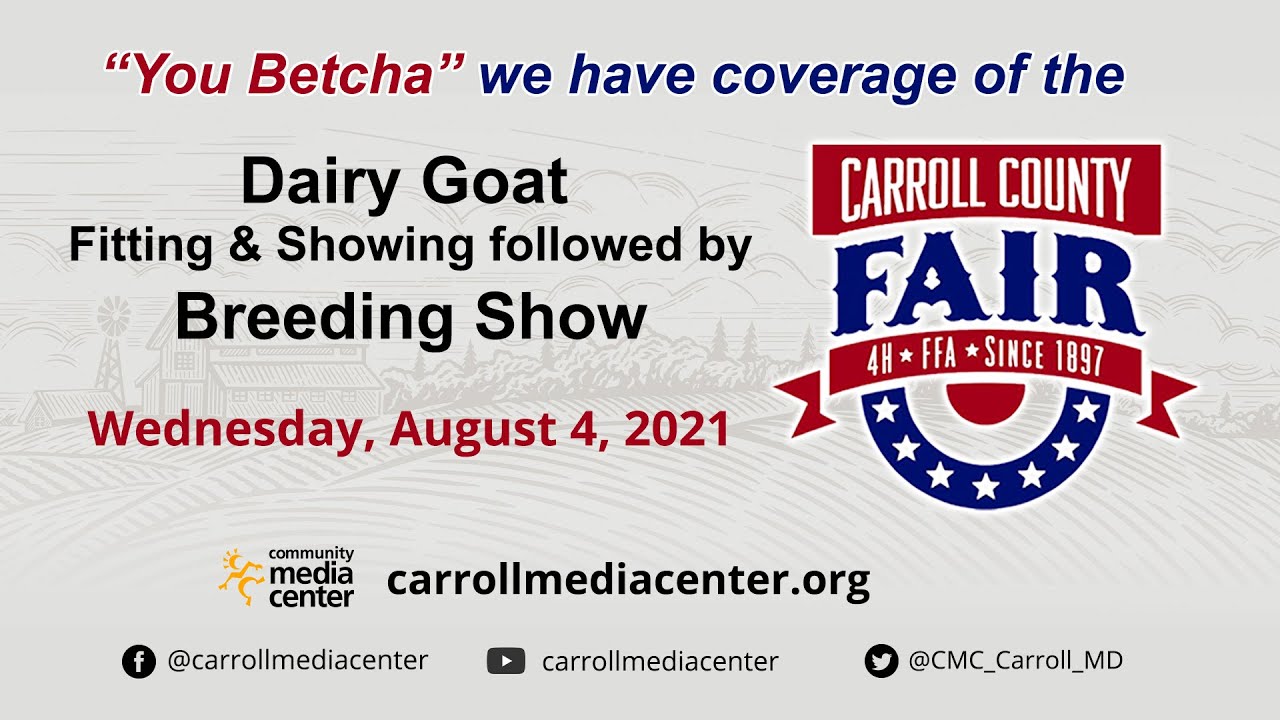 Dairy Goat Fitting & Showing Followed By Breeding Show