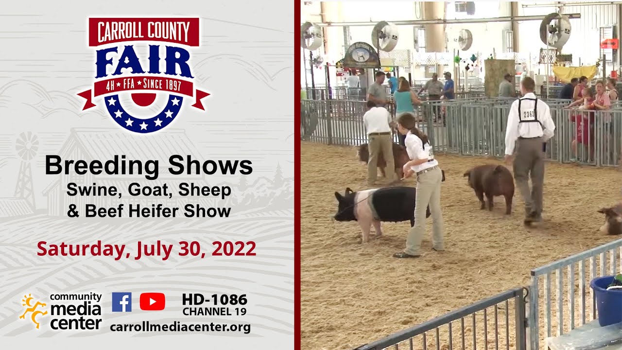 Breeding Shows 7-30-2022 Carroll County 4-H & FFA Fair