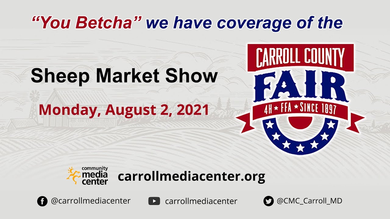 Sheep Market Show