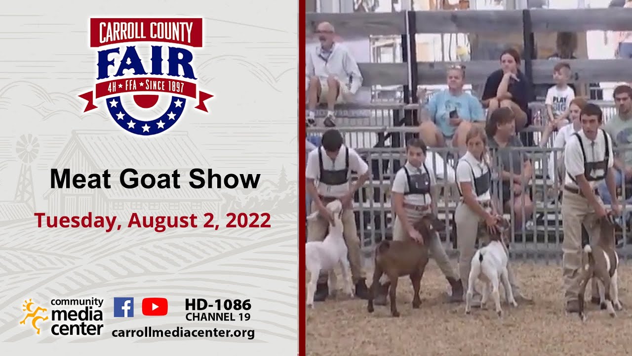 Meat Goat Show 8-2-2022 Carroll County 4-H & FFA Fair