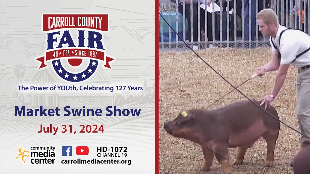 Market Swine Show 7-31-2024