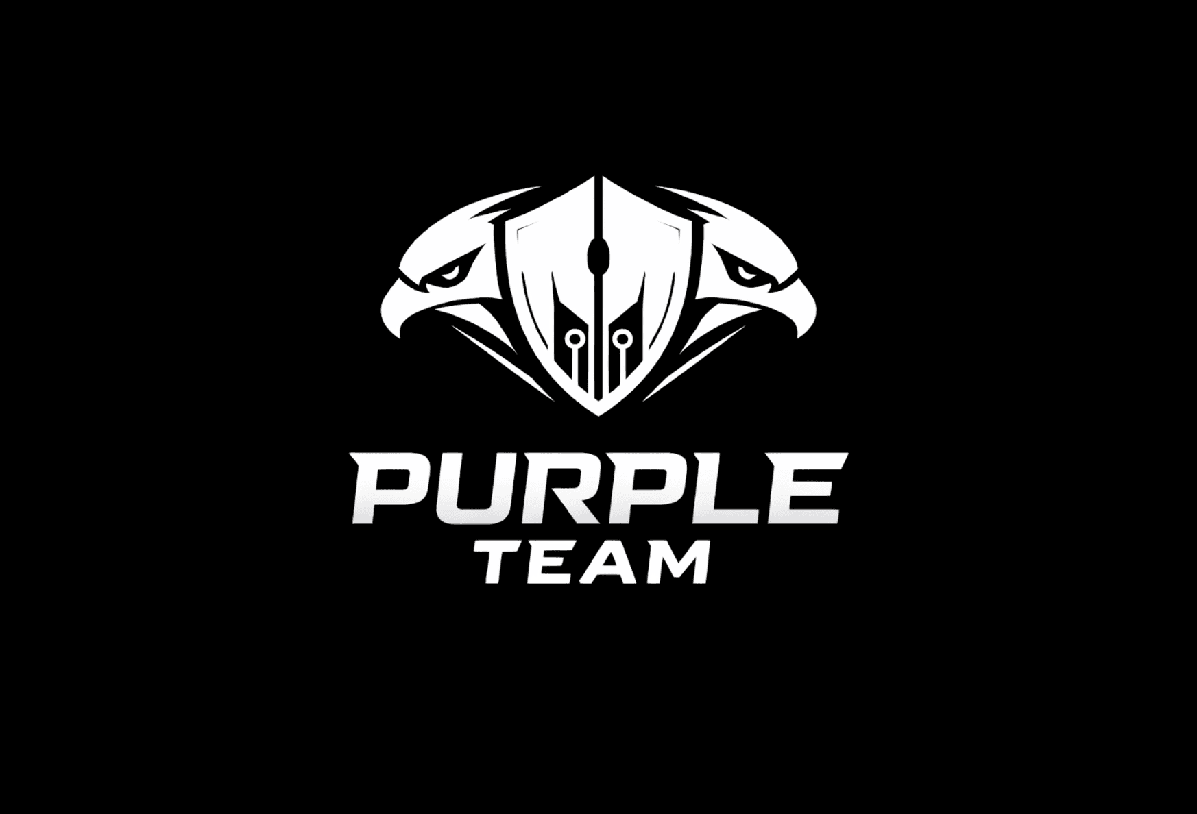 Purple Team suradnja koja jača obranu
