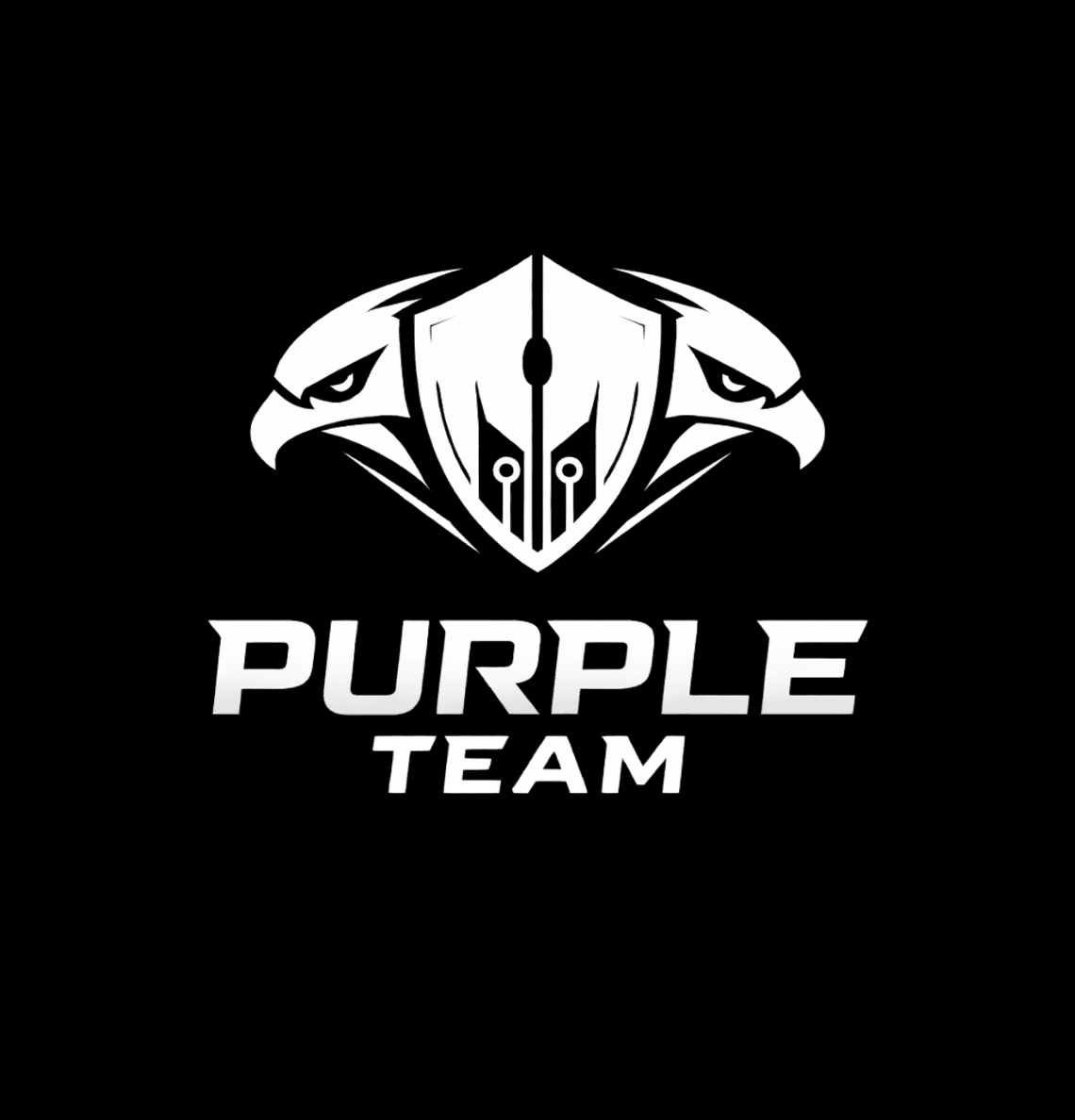 Purple Team suradnja koja jača obranu