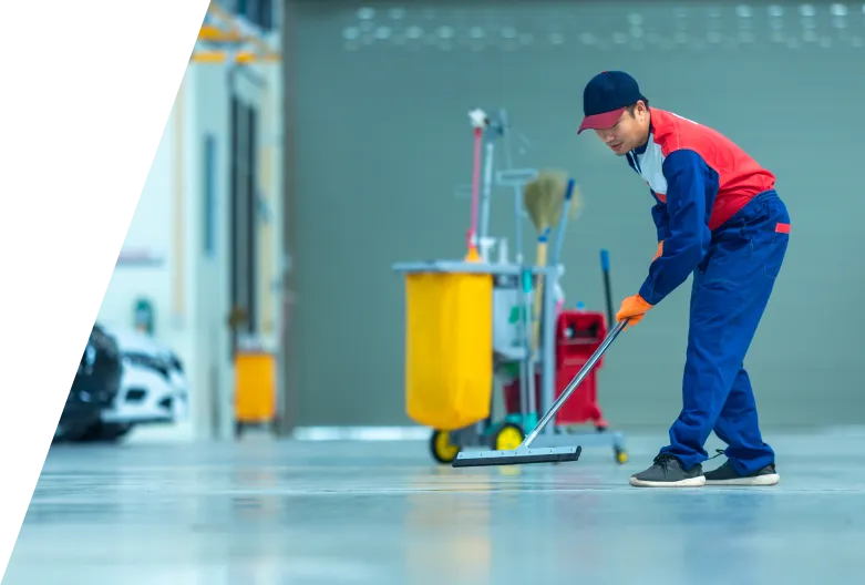 Water Cleanup & Remediation