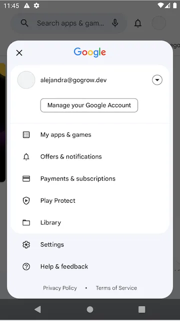 Google Play Store app